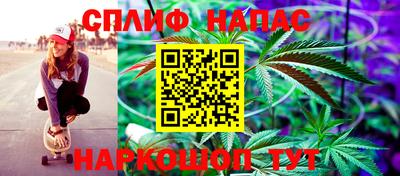 гидра Ливны