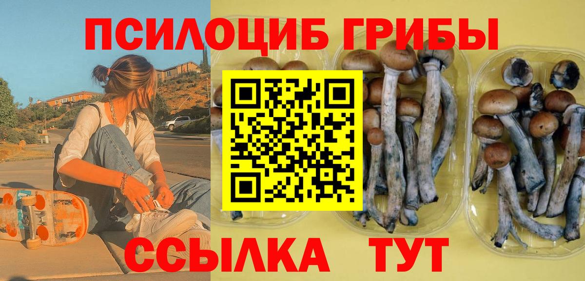 Галлюциногенные грибы MAGIC MUSHROOMS  Вход с VPN  Галлюциногенные грибы Psilocybine cubensis  Калуга 